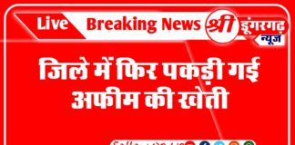 जिले में फिर पकड़ी गई अफीम की खेती