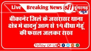 बीकानेर जिले के जसरासर थाना क्षेत्र के बादनु में सोमवार की शाम को दो खेतो में बिजली के तार से निकली चिंगारी से खेत में गेंहू की पक्की हुई लगभग 14 बीघा फसल जलकर राख हो गई। 