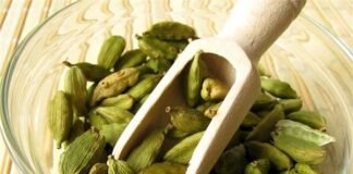 फेफड़ों के लिए लाभकारी होती है इलायची, जानें इसके फायदें