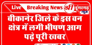 बीकानेर जिले के इस वन क्षेत्र में लगी भीषण आग पढ़े पूरी खबर