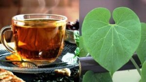 गिलोय का काढ़ा,