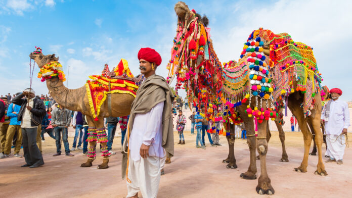 बीकानेर ऊंट महोत्सव || Bikaner Camel Festival culture-of-rajasthan.