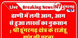 ढाणी में लगी आग, आग से हुआ लाखों का नुकसान ; श्री डूंगरगढ़ क्षेत्र के राजेडू गांव की घटना