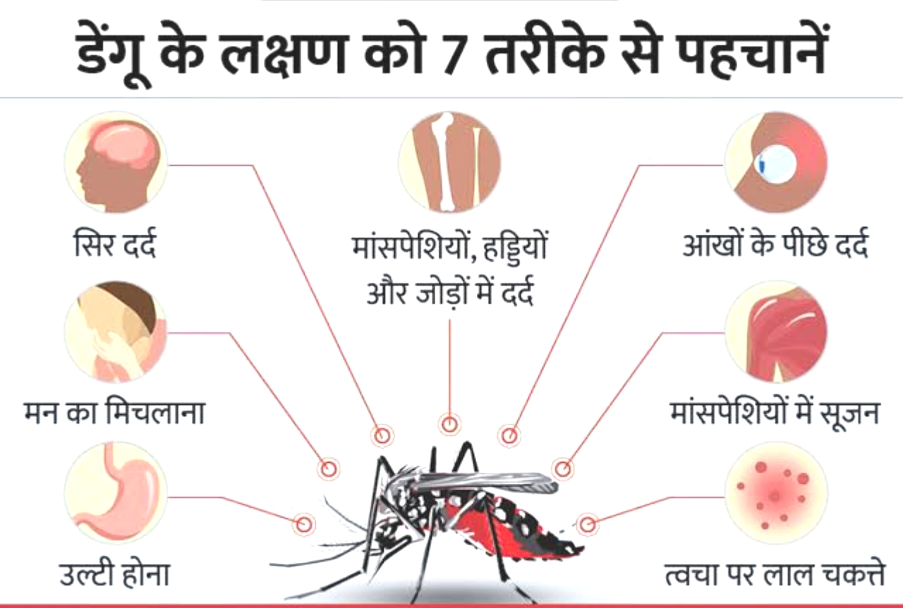 डेंगू के सामान्य लक्षण
