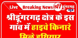 श्रीडूंगरगढ़ क्षेत्र के इस गांव में हाइवे किनारे मिले हथियार