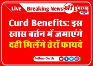 Curd Benefits: इस खास बर्तन में जमाएंगे दही मिलेंगे ढेरों फायदे