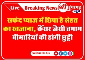 सफेद प्याज में छिपा है सेहत का खजाना, कैंसर जैसी तमाम बीमारियों की होगी छुट्टी