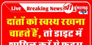 दांतों को स्वस्थ रखना चाहते हैं, तो डाइट में शामिल करें ये फूड्स दांतों को स्वस्थ रखना चाहते हैं, तो डाइट में शामिल करें ये फूड्स