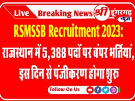 RSMSSB Recruitment 2023: राजस्थान में 5,388 पदों पर बंपर भर्तियां, इस दिन से पंजीकरण होगा शुरू RSMSSB Recruitment 2023: राजस्थान में 5,388 पदों पर बंपर भर्तियां, इस दिन से पंजीकरण होगा शुरू