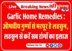 Garlic Home Remedies : औषधीय गुणों से भरपूर है लहसुन, लहसुन से करें सब रोगों का इलाज