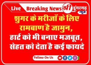 Benefits Of jamun : शुगर के मरीजों के लिए रामबाण है जामुन, हार्ट को भी बनाए मजबूत, सेहत को देता है कई फायदे