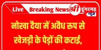 नोखा दैया में अवैध रूप से खेजड़ी के पेड़ों की कटाई, मामला दर्ज