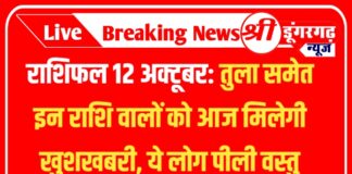 राशिफल 12 अक्टूबर : तुला समेत इन राशि वालों को आज मिलेगी खुशखबरी, ये लोग पीली वस्तु रखें पास