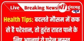 Health Tips: बदलते मौसम में कफ से है परेशान, तो तुरंत राहत पाने के लिए अपनाएं ये घरेलू नुस्खे Health Tips : बदलते मौसम में कफ से है परेशान, तो तुरंत राहत पाने के लिए अपनाएं ये घरेलू नुस्ख