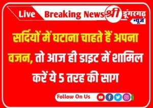 Weight Loss Diet : सर्दियों में घटाना चाहते हैं अपना वजन, तो आज ही डाइट में शामिल करें ये 5 तरह की साग