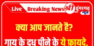 Cow Milk: नहीं चाहते कोलेस्ट्रोल, हार्ट अटैक और स्ट्रोक तो पीजिए गाय का दूध