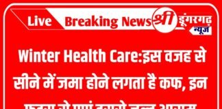 Winter Health Care: इस वजह से सीने में जमा होने लगता है कफ, इन फूड्स से पाएं इससे जल्द आराम