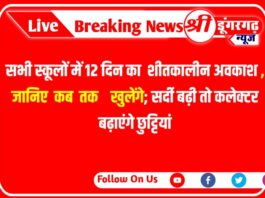 सभी स्कूलों में 12 दिन का शीतकालीन अवकाश:25 दिसंबर से 5 जनवरी तक नहीं खुलेंगे; सर्दी बढ़ी तो कलेक्टर बढ़ाएंगे छुट्टियां