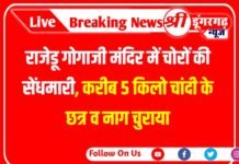 राजेडू गोगाजी मंदिर में चोरों की सेंधमारी, करीब 5 किलो चांदी के छत्र व नाग चुराया