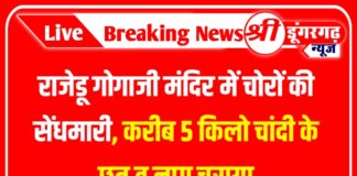राजेडू गोगाजी मंदिर में चोरों की सेंधमारी, करीब 5 किलो चांदी के छत्र व नाग चुराया