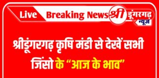 श्रीडूंगरगढ़ कृषि मंडी से देखें सभी जिंसो के “आज के भाव”